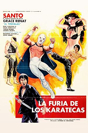 The Fury of the Karate Experts (1982) M4ufree