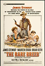 The Rare Breed (1966) Free Movie