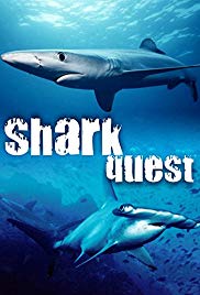 Shark Quest (2003) Free Movie
