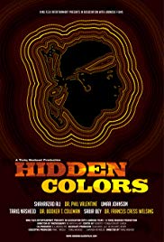 Hidden Colors (2011)