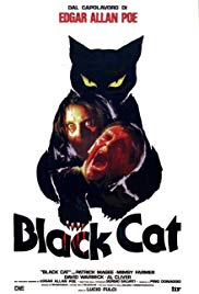 The Black Cat (1981) Free Movie