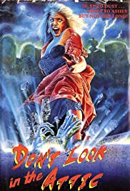 Dont Look in the Attic (1982) Free Movie
