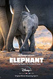 Elephant (2020) Free Movie