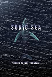 Sonic Sea (2016) Free Movie