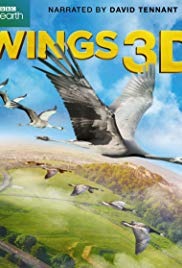 Wings (2014) Free Movie