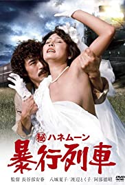 Secret Honeymoon: Rape Train (1977) Free Movie