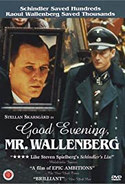 Good Evening, Mr. Wallenberg (1990) Free Movie