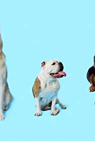 How Dogs Got Their Shapes (2016) Free Movie