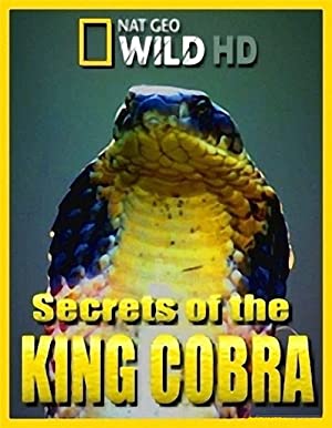 Secrets of the King Cobra (2010) Free Movie