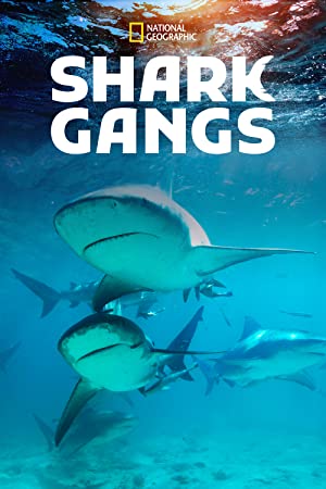 Shark Gangs (2021) Free Movie