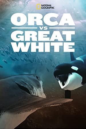 Orca vs. Great White (2021) Free Movie
