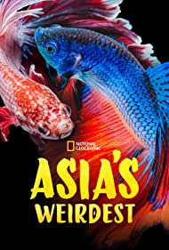 Asias Weirdest (2021) Free Tv Series