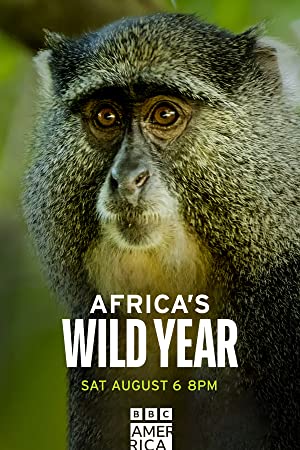 Africas wild year (2021) Free Tv Series