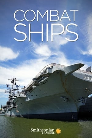 Combat Ships (2017-2022) Free Tv Series