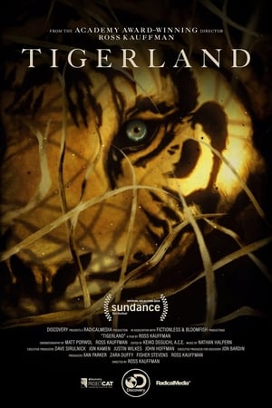 Tigerland (2019) Free Movie
