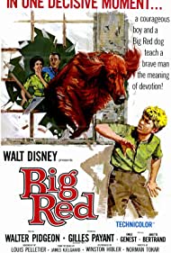Big Red (1962) Free Movie