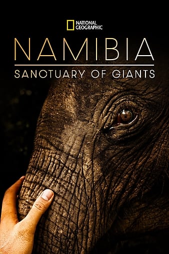 Namibia, Sanctuary of Giants (2016) Free Movie