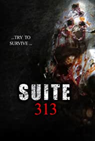 Suite 313 (2017) Free Movie