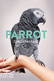 Parrot Confidential (2013) Free Movie