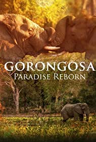 Gorongosa Paradise Reborn (2022) Free Movie
