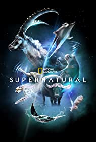SuperNatural (2022-) Free Tv Series