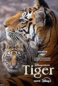 Tiger (2024) Free Movie