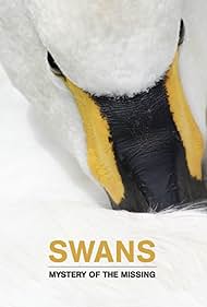 Swans Mystery of the Missing (2019) Free Movie