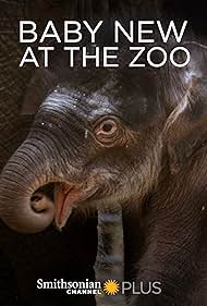 Baby New at the Zoo (2007) Free Movie