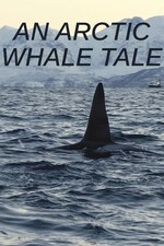 An Arctic Whale Tale (2022) Free Movie