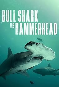 Bull Shark Vs Hammerhead (2023) Free Movie