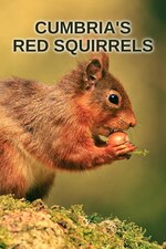 Cumbrias Red Squirrels (2024) Free Movie