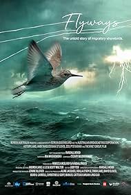 Flyways the untold journey of migratory shorebirds (2023) Free Movie