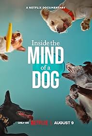 Inside the Mind of a Dog (2024) Free Movie