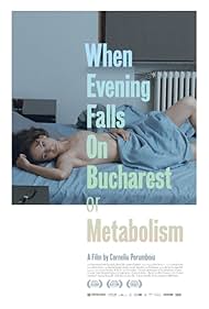 When Evening Falls on Bucharest or Metabolism (2013)