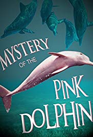 The Mystery of the Pink Dolphin (2015) Free Movie