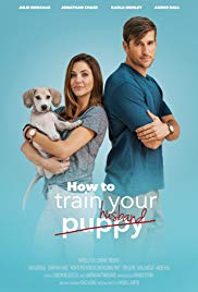 How to Train Your Husband or (How to Pick Your Second Husband First) (2018) Free Movie
