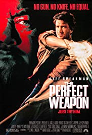 The Perfect Weapon (1991) Free Movie