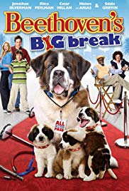 Beethovens Big Break (2008) Free Movie
