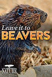 Leave It to Beavers (2014) Free Movie