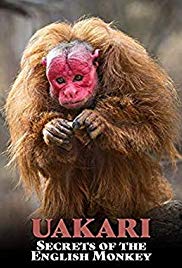 Uakari: Secrets of the English Monkey (2009) Free Movie