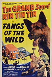 Fangs of the Wild (1939)