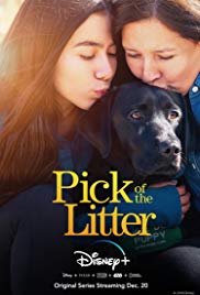 Pick of the Litter (2018) Free Movie